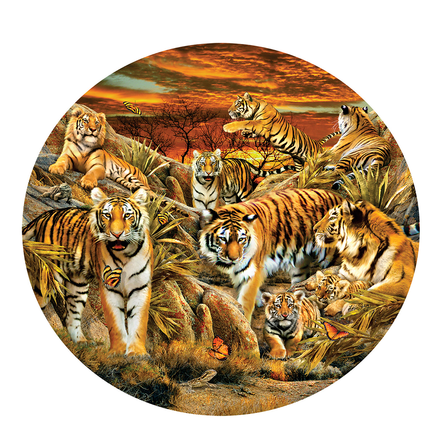 Tigers Galore - 500 Piece Jigsaw Puzzle