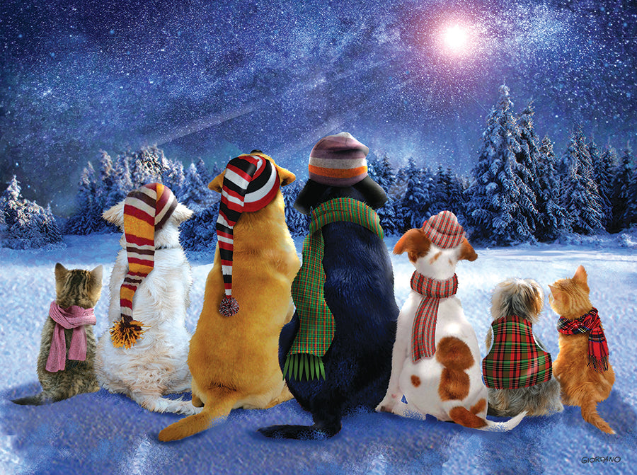 Wishing on a Star - 1000 Piece Jigsaw Puzzle