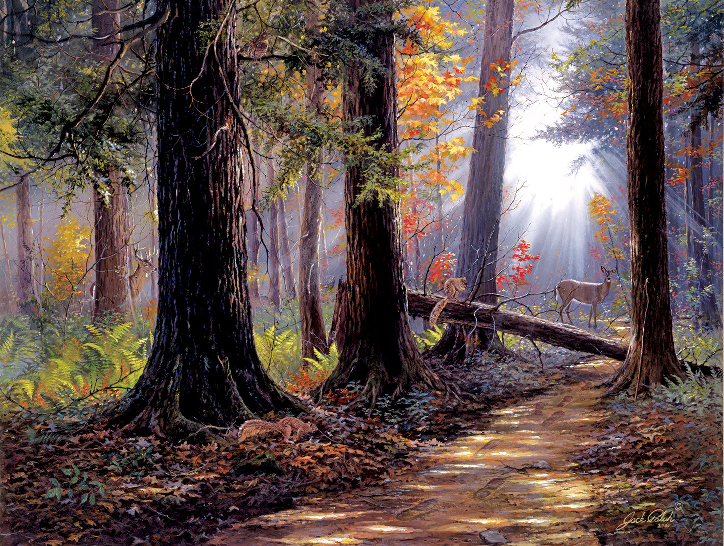 Peaceful Path - 500 Piece Jigsaw Puzzle