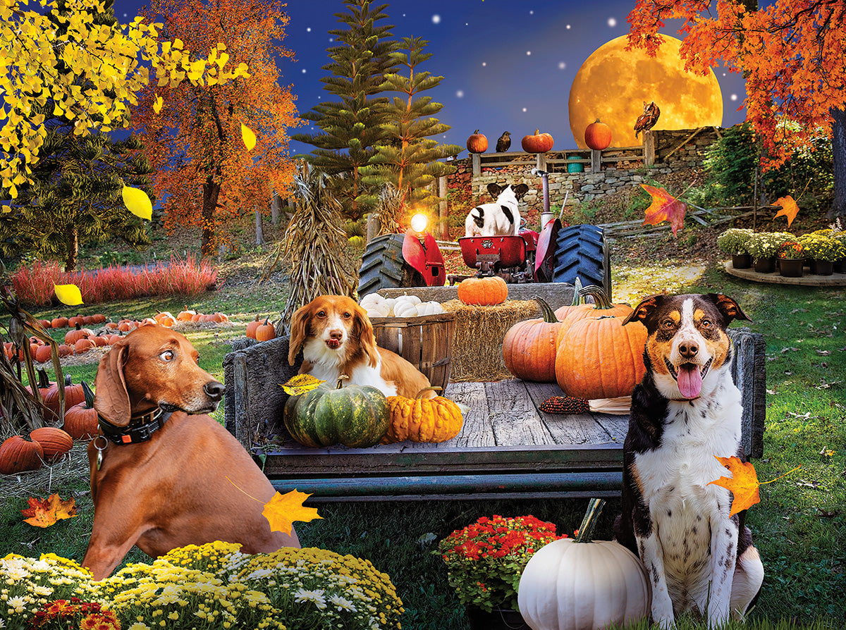 Harvest Hayride - 1000 Piece Jigsaw Puzzle