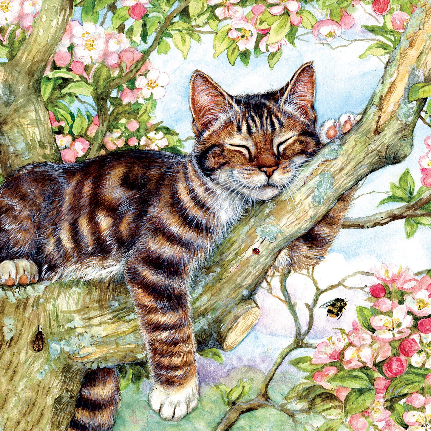 Sleepy Cat - 500 Piece Jigsaw Puzzle