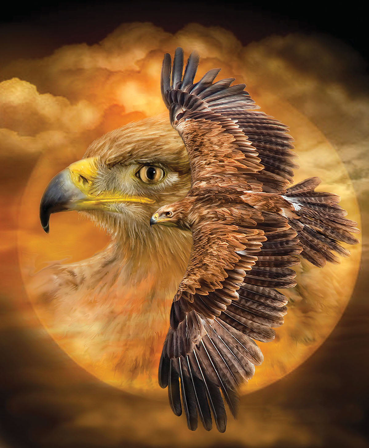 Spirit of the Wind - 1000 Piece Jigsaw Puzzle