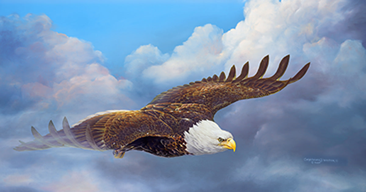 Cloud Nine - 500 Piece Jigsaw Puzzle