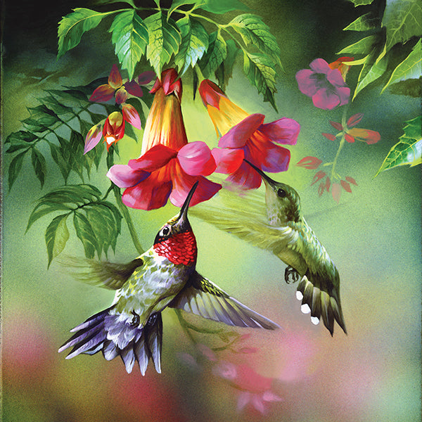Summer Hummer - 1000 Piece Jigsaw Puzzle
