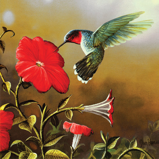 Ruby Throat - 500 Piece Jigsaw Puzzle
