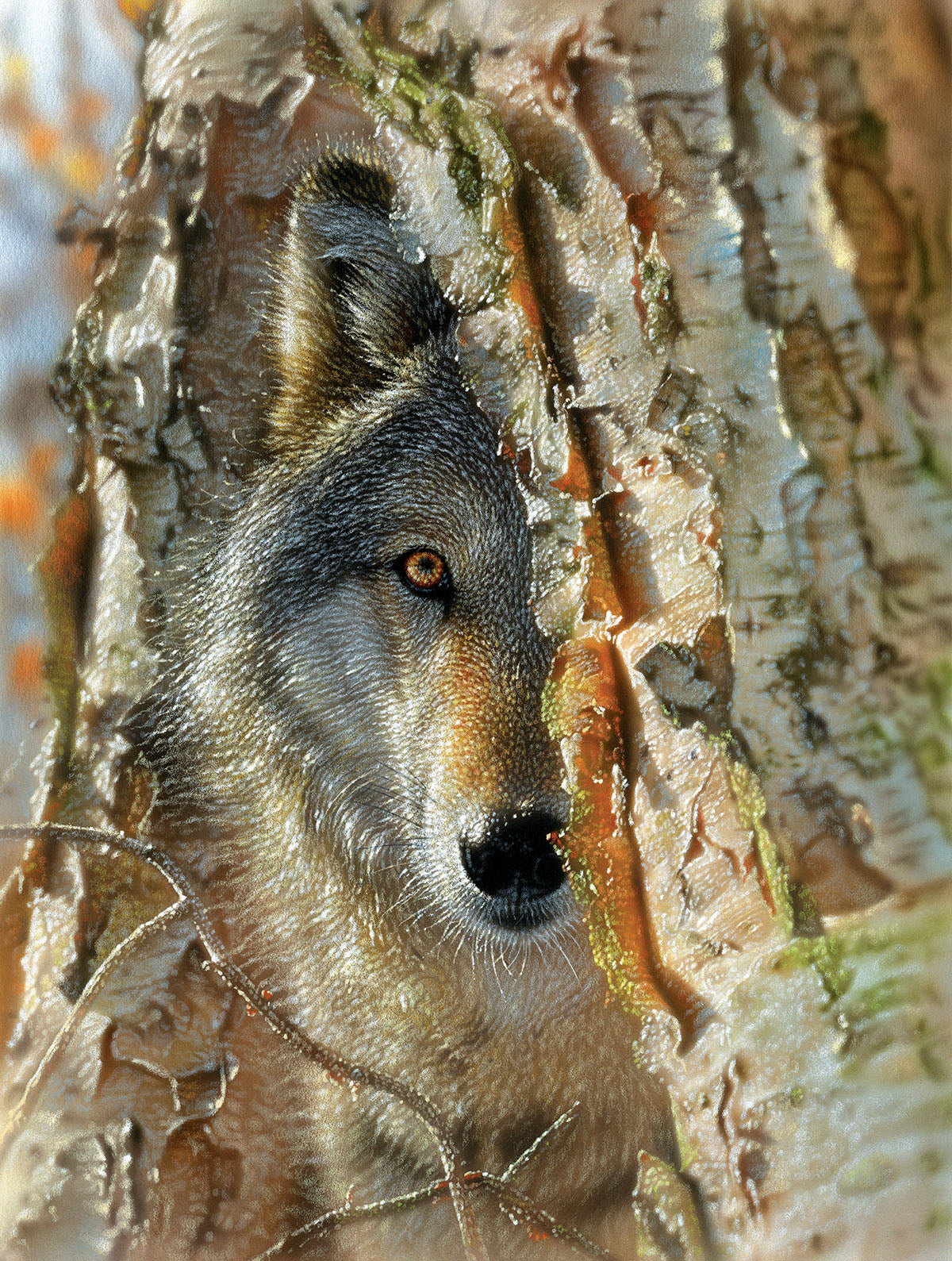 Wolf Encounter - 500 Piece Jigsaw Puzzle