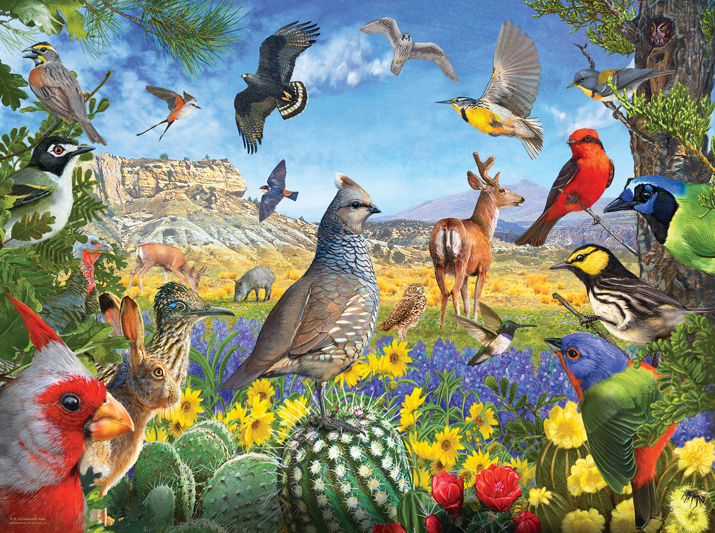 Texas Birds - 1000 Piece Jigsaw Puzzle