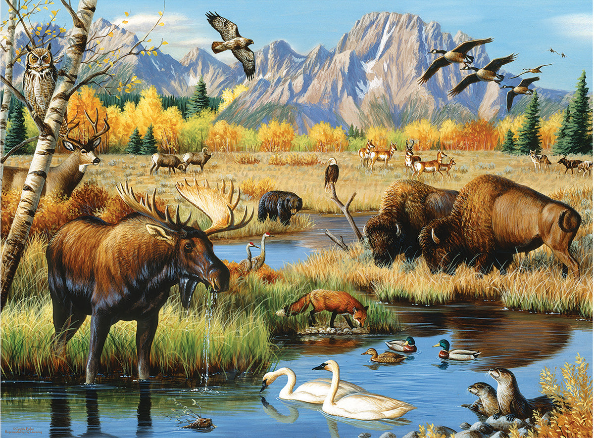 Wildlife Gathering - 500 Piece Jigsaw Puzzle