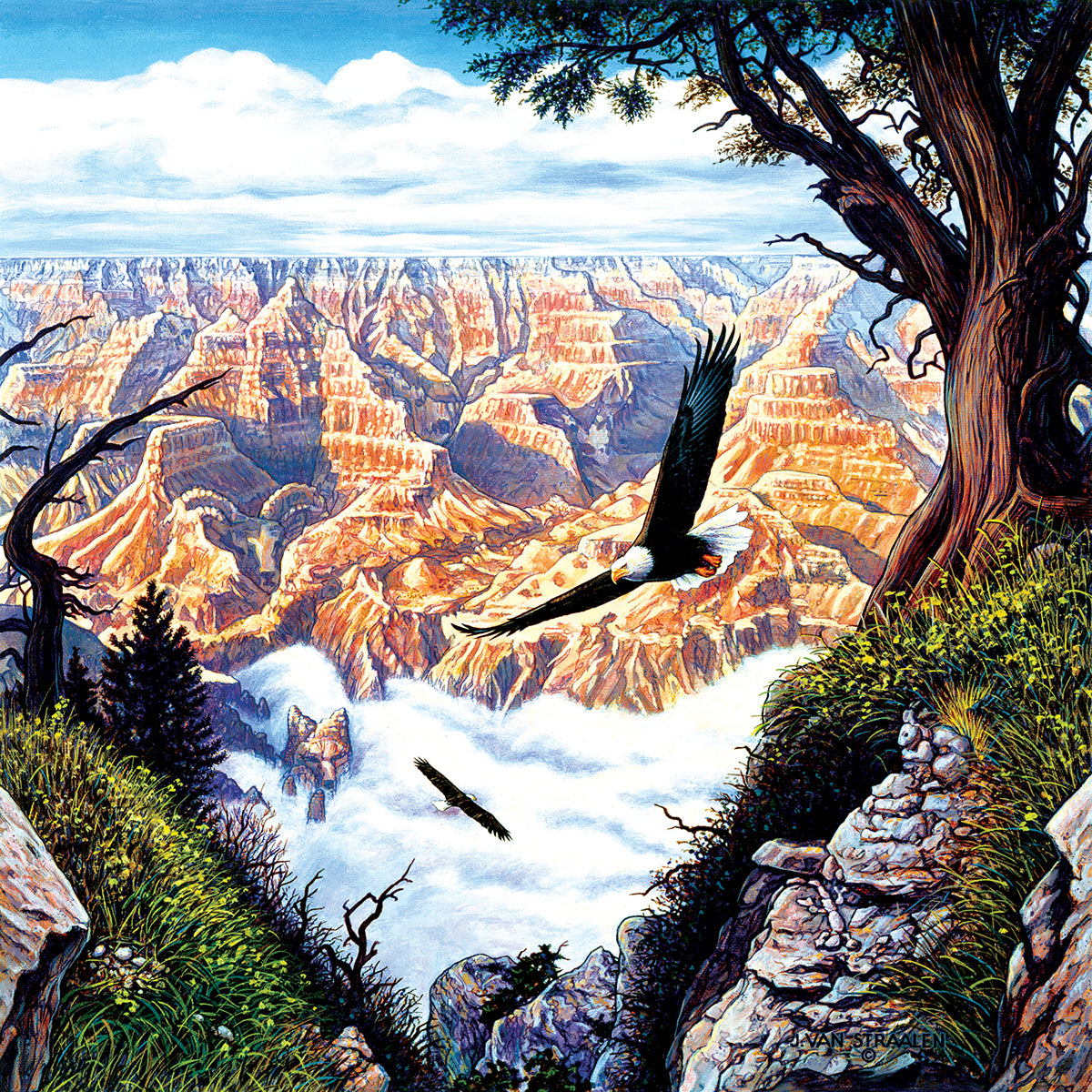 Guardians of the Canyon - 500 Piece Jigsaw Puzzle