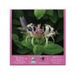 Finding Nectar - 550 Piece Jigsaw Puzzle