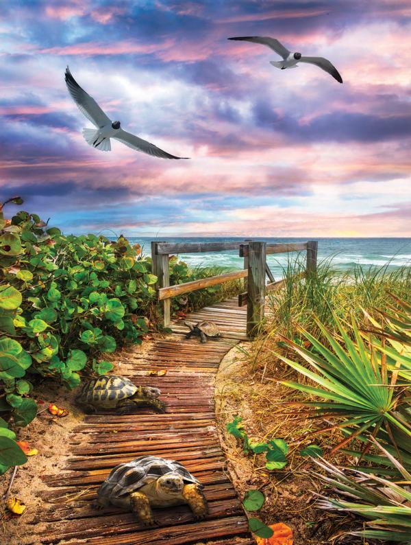 Path to the Beach - 500 Piece Jigsaw Puzzle