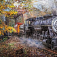Train's Coming - 1000 Piece Jigsaw Puzzle