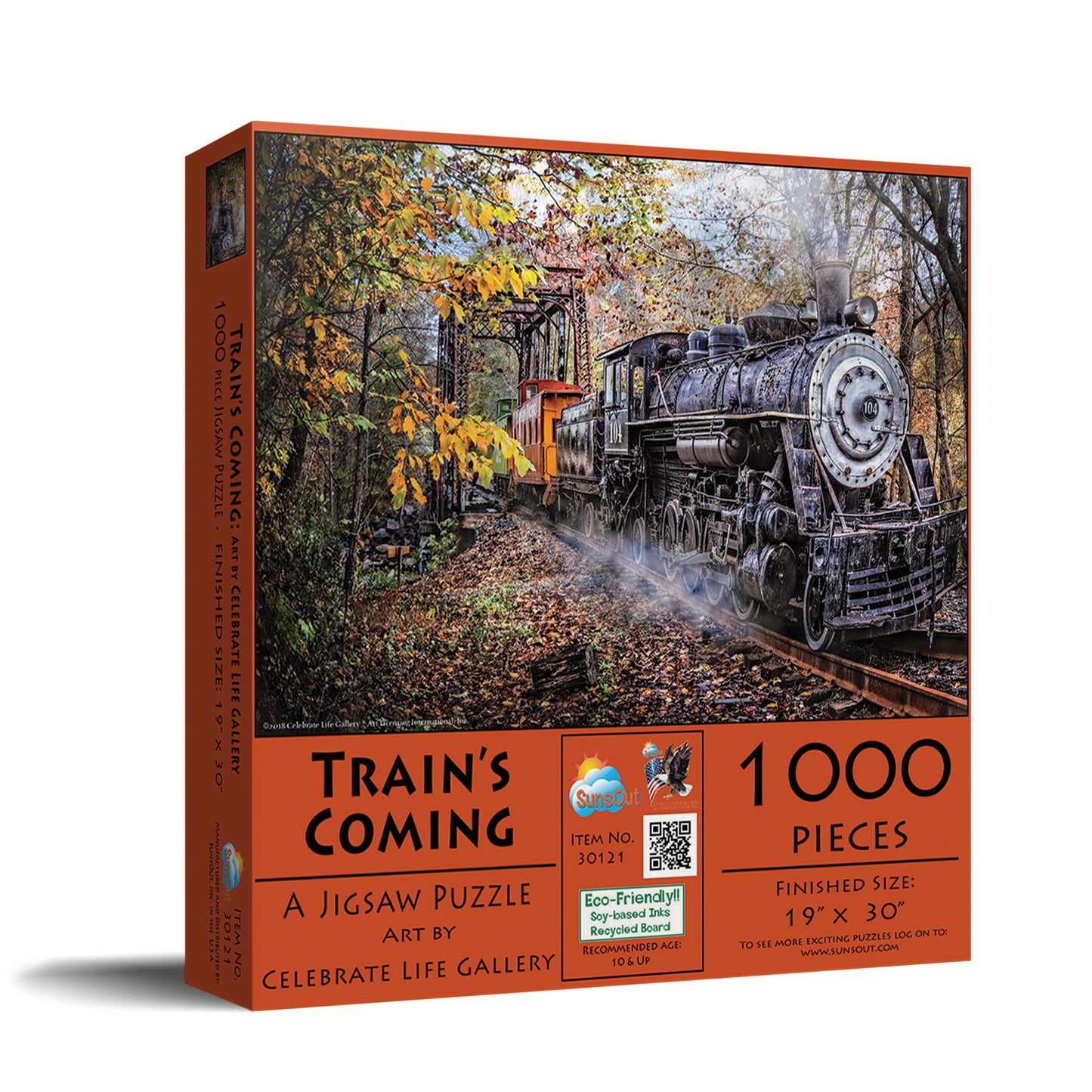 Train's Coming - 1000 Piece Jigsaw Puzzle
