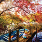 Morning Thoughts - 550 Piece Jigsaw Puzzle