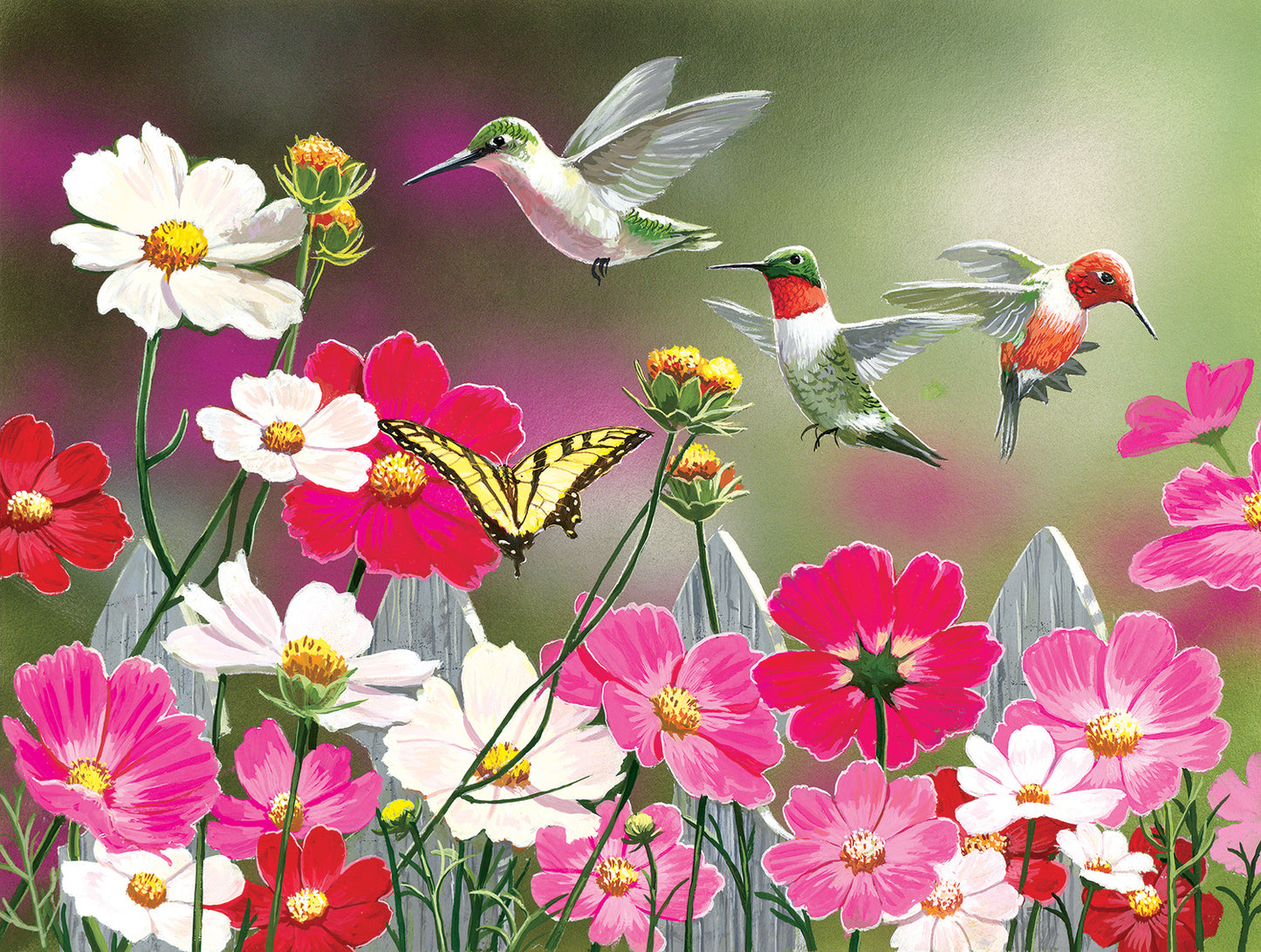 Cosmos and Hummingbirds - 500 Piece Jigsaw Puzzle