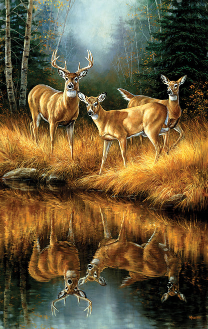 Whitetail Reflections - 550 Piece Jigsaw Puzzle