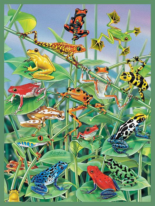 Jungle Gym - 500 Piece Jigsaw Puzzle