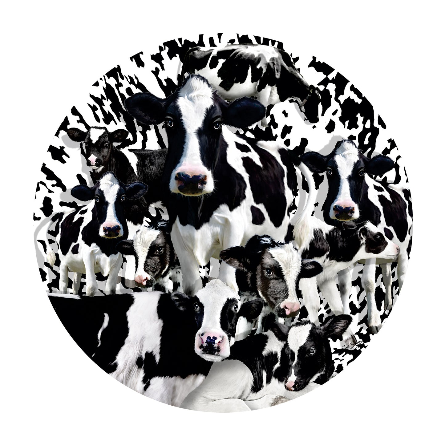 Herd of Cows - 1000 Piece Jigsaw Puzzle