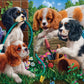 Pups in the Garden - 1000 Piece Jigsaw Puzzle