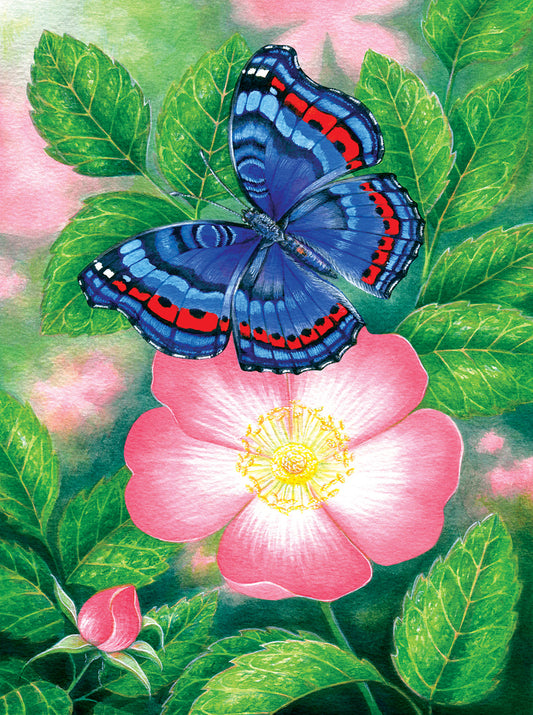 Blue Butterfly - 1000 Piece Jigsaw Puzzle