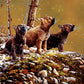 Nature's Song - 500 Piece Jigsaw Puzzle