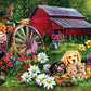 Sweet Country - 500 Piece Jigsaw Puzzle