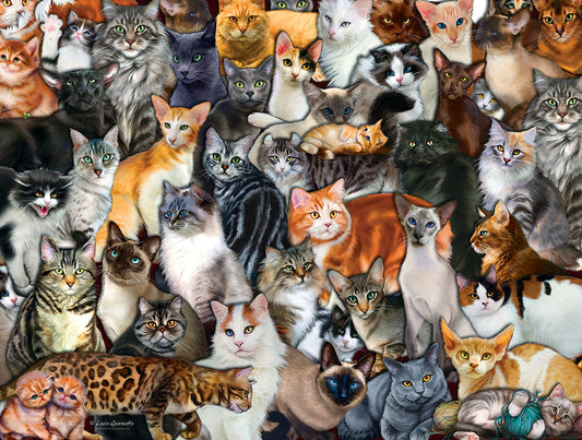 Cat Collage - 300 Piece Jigsaw Puzzle