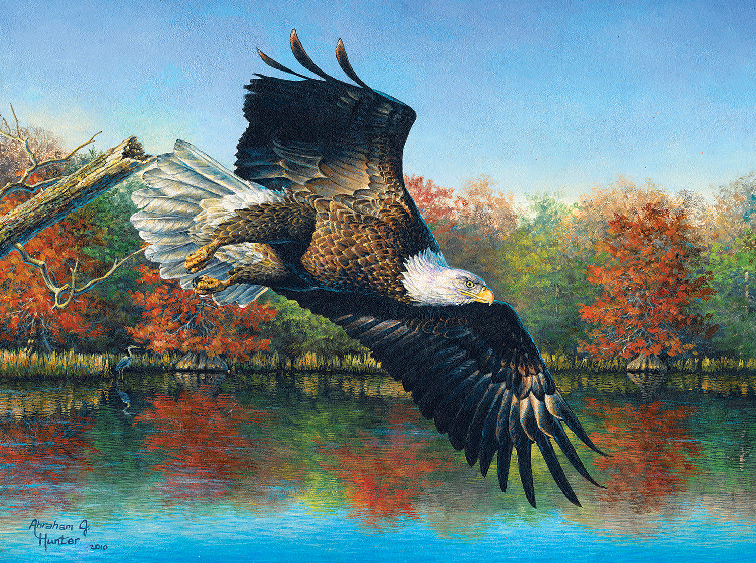 Wetlands Eagle - 1000 Piece Jigsaw Puzzle