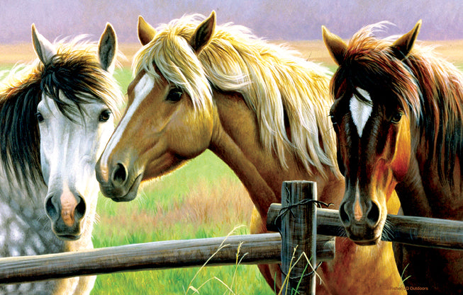 Horse Fence - 1000 Piece Jigsaw Puzzle