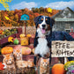 Blueberry Hollow Farm - 300 Piece Jigsaw Puzzle
